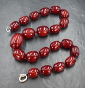 An impressive graduated necklace thought to be cherry amber, the beads measuring between approximat