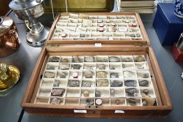 A 19th century pine box holding an interesting collection of British Fossils, arranged by James R.
