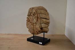 A large table top drift wood sculpture, supported on a metal base, h39.