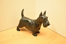 A Royal Doulton Scottish Terrier study HN 1008, gloss finish with 'Albourne Arthur' stamped to