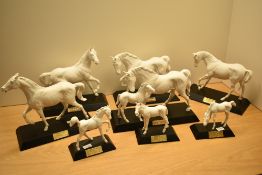 A group of eight Beswick Pottery white horses including five by John Beswick 'Adventure', 'Spring