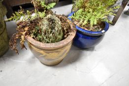 Two glazed garden planters