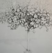 Raquel Alvarez Sardina (Spanish b.1967) pencil/graphite on paper 'Membrillo III' a large depiction