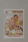 After Cicely Mary Barker (British 1895-1973) a group of twenty three coloured Flower Fairy prints,