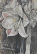 20th Century, mixed media, A still life - Daffodil flower head, framed, mounted, and under glass,