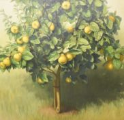 Raquel Alvarez Sardina (Spanish b.1967) oil on canvas Membrillo a large depiction of a quince