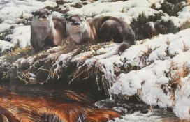 After Alan Hunt (British, born 1947) , colour print of 'Cold Start - Young Otters'. Shows two