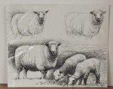 After Henry Moore (British 1898-1986) forty monochrome sheep prints, c1960, unframed, 21cm x 25cm