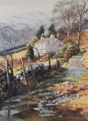Local Interest* After Judy Boyes (British b.1943) a limited edition artists proof 'Footpath to