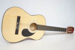 Burswood acoustic guitar