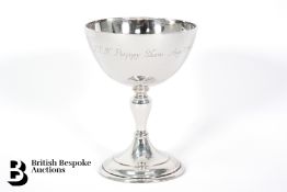 Silver Trophy