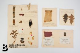 Souvenir Hunters Collection