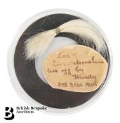 Vice-Admiral Lord Nelson's Hair