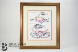 Four Colourful Prints of Fish