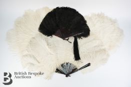 Ostrich Feather Fans