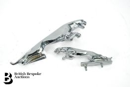Two Jaguar Mascots