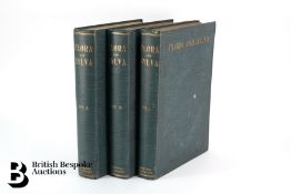Flora and Sylva in Three Volumes