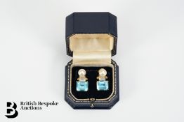 Pair of Topaz Earrings
