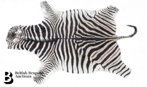 Burchell Zebra Skin
