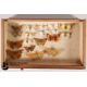 Small Collectors Cabinet of Butterflies and Moths - Image 5 of 16