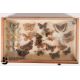 Small Collectors Cabinet of Butterflies and Moths - Image 1 of 16