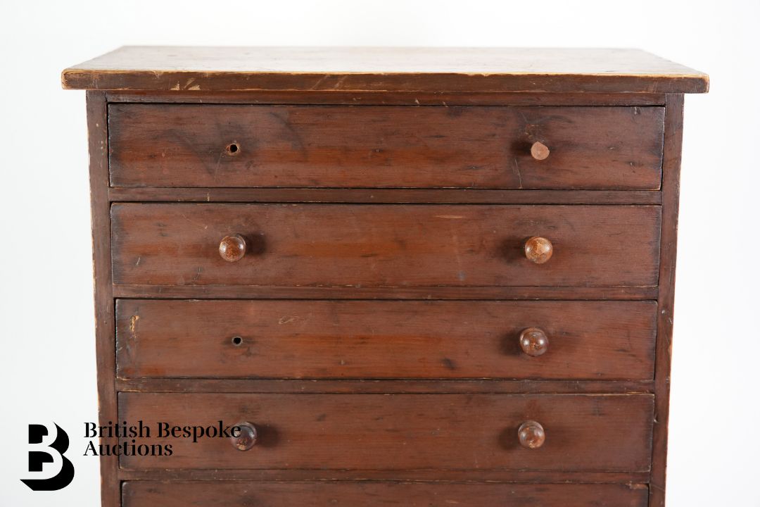 Small Collectors Cabinet of Butterflies and Moths - Image 15 of 16