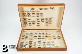 Three Wooden Collection Boxes of Butterflies