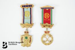 The Royal Antediluvian Order of Buffaloes Medallions