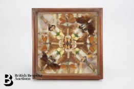 Framed Collage of Butterflies