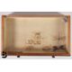 Small Collectors Cabinet of Butterflies and Moths - Image 4 of 16