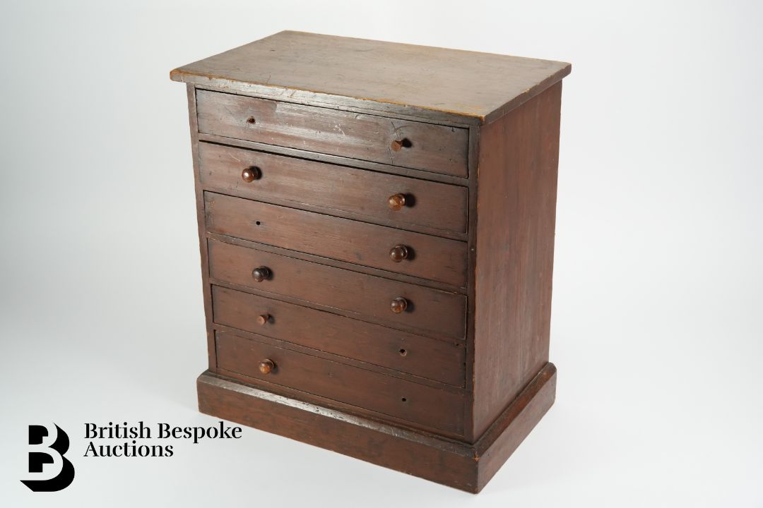 Small Collectors Cabinet of Butterflies and Moths - Image 13 of 16