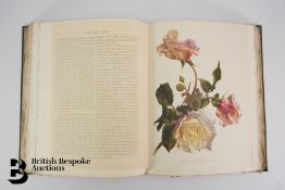 Flora and Sylva 1903-1905 in Three Volumes