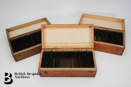 Three Boxes of Glass Slides