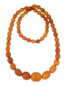 An amber 'butterscotch' coloured graduated bead necklace