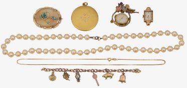 A collection of accessories