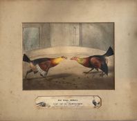 Spooner's Transformations. No. 7 The Rival Heroes