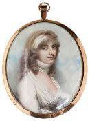 Andrew Plimer portrait of a lady