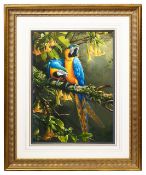 Michael Jackson (British, b 1961) 'Blue and Gold Macaws', gouache