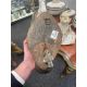 Two North American Folk Art carved wood decoy ducks - Image 4 of 7