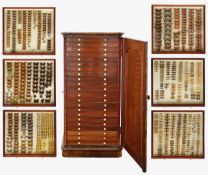 A Victorian walnut entomological cabinet and collection