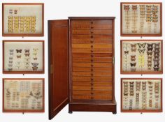 A Victorian mahogany entomological cabinet and collection