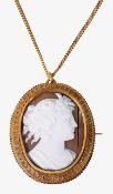 A cameo brooch/pendant on chain
