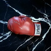 Miguel Cotto signed red Everlast 16oz boxing glove. Miguel Ángel Cotto Vázquez (born October 29,