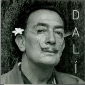 Dali softback book. We combine shipping on all lots. Single book £5.99 UK, £7.99 Europe, £9.99
