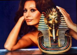 Sophia Loren signed 10x8 inch colour photo. Good condition. All autographs come with a Certificate