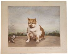 Lambert Weston Folkestone signed Cat print 