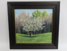 Charles Summers (b.1945), framed oil on board titled 'Cherry Tree', image size 480mm x 445mm