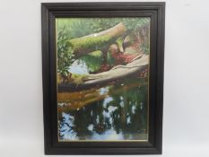 Charles Summers (b.1945), framed & glazed acrylic on paper, glazed titled 'Fallen Log at Heligan', i