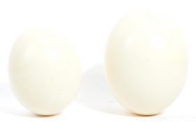 TWO VINTAGE 20TH CENTURY BLOWN OSTRICH EGGS