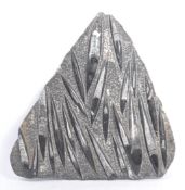 NATURAL HISTORY / FOSSIL SPECIMEN ORTHOCERAS CLUSTER PANEL